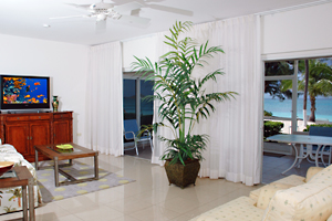 cayman club condo pictures and availability